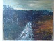 Robert Nielsen 
(1911-2001):
Motiv fra 
Tykskov Krat i 
Ejstrup sogn, 
Ikast-Brande 
kommune.
Olie ...