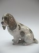 Cockerspaniel i 
kongelig 
porcelæn nr. 
3116 l. 
sortering. 
Højde ca. 13 
cm. Designet af 
Theodor ...