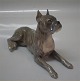 Royal 
Copenhagen dog 
3635 RC Boxer 
dog lying, 
brindle  HC 15 
x 9.5 cm  In 
mint and nice 
...