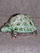 Turtle Hjorth.