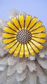 A Michelsen  Marguerit broche, Solgt