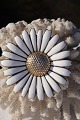 Stor flot marguerit-broche Broche, Solgt