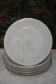Venus 
spisestel, Bing 
& Grøndahl 
porcelæn. B&G 
Venus  nr. 25. 
diameter 24cm. 
1. og 2. 
sortering, ...