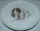 Bing & Grøndahl 
Platte med hund 
 No. 
3669/357-20. 
Måler 20,5cm og 
har en 
reparation, se 
billede. ...