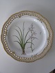 RC 20/3527 
Flora Danica 
fad/dæktallerken 

med 
gennembrudt 
bort D: 30cm.