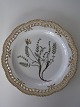 RC 20/3574 
Flora Danica 
Fad med 
gennembrudt 
bort D: 29cm.