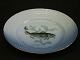 Bing & Grøndahl Mågestel m/guldkantFisketallerken nr. 6. torskDiameter 21,5 cmFin stand