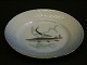 Bing & Grøndahl Mågestel m/guldkantFisketallerken nr 4. GeddeDiameter 21,5 cmFin stand