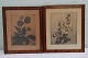 Tryk Oluf 
Jensen 
Akvatinte
a) Blomst 1931 
39,5 x 34 cm 
inklusiv ramme
b)Oluf Jensen 
flower ...