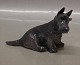 Royal 
Copenhagen 3162 
RC Scottish 
Terrier sitting 
Th. Madsen 10 
cm In mint and 
nice condition
