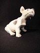 FIG.
Sealyham 
Terrier puppy.
artist Dahl 
Jensen.
Bing and 
Grondahl B & G 
no 2028