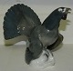 
Capercaillie figure in porcelain from German Carl Scheidig