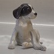 Royal 
Copenhagen 0206 
RC Small 
pointer puppy 
EN 13 cm 
(Kleine Pointer 
Welpe ) 2nd due 
to small ...