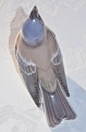 Bird, Dahl 
Jensen 
porcelain 
figurine. 
Chaffinch no. 
1249. Length 
13,7 height 10 
cm. 1. Quality, 
...