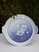 Julerose Bing & 
Grøndahl 
porcelæn. B&G 
Julerose 
kagefad nr. 
101. Diameter 
28cm. Fin hel 
stand. ...