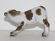 Lyngby 
porcelæn.
Figur af kalv.
Længde 14 cm.
1. sortering.
Perfekt stand.