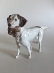 Bing and  
Grondahl Large 
English Setter 
with bird No. 
2015. Measures 
32 cm x 23 cm / 
12 19/32 ...