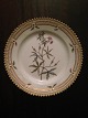 Royal Copenhagen Flora Danica Sidetallerken No 3552