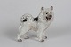 Dahl Jensen 
Figurer
Sød grønlandsk 
hund nr. 1082 
af porcelæn 
Højde 16 cm
1. sortering 
...