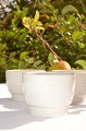 Royal Copenhagen Gemma Egg cups