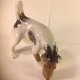 Figurines.
Wirehaired 
Terrier.
Royal 
Copenhagen Rc 
no. 30200
First sorting.
Height: 14 ...