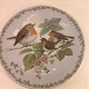 Platte.
Unger i 
naturen
Rødkælk.
Royal 
copenhagen RC 
nr. 0330
Diameter: 16,5 
...