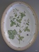 RC. 20/3521 
Flora Danica 
Stort 
Serveringsfad 
med Korbær
L: 51,5 cm. B: 
37,5 cm.