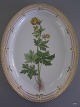 RC 20/3519 
Flora Danica 
Serveringsfad 
med Engblomme
L: 44,5 cm. B: 
34 cm.