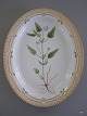 RC. 20/3512 
Flora Danica 
fad med Rank 
Viol
L: 36,5 cm. B: 
29 cm.