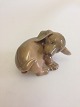 Royal 
Copenhagen Dog 
No 1407 RC 
Dachshund OM. 
Designed by Ole 
Mathiasen. 2nd 
quality. 
Measures 7 ...