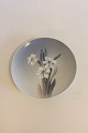 Royal 
Copenhagen 
Motiv Platte 
med 
Forårsblomst No 
29/1125
Måler 25cm / 
10".