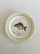 Royal 
Copenhagen Grøn 
Fisketallerken 
No 919/1710 med 
Cyprinus 
Carpio. 25 cm