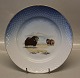 11308-621 
Dinner plate 
24.5 cm 
Greenlandic 
Scenery 
Collection 
(325-025) Dog 
Sledge - ...