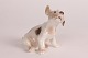 Bing & Grøndahl 
Figurines
Sealyham puppy 
no. 2028
designed by 
Jens Peter Dahl 
...