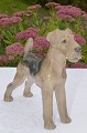B&G figur 
porcelæn. B&G 
Terrier nr. 
2030. Højde 
17,5 cm. 2. 
Sortering, fin 
hel stand.
