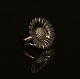 Georg Jensen: Grosser Daisy Ring. D: 3,2cm. Ringgr. 58