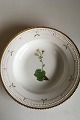 Royal 
Copenhagen 
Flora Danica 
Deep Plate No 
735/3545. 
Latin name: 
Saxifraga 
decipiens var. 
...