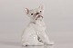 Bing & Grøndahl 
figurine
Bulldog french 
bullie no 1983 
designed by 
artist Dahl ...