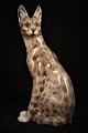 Sjælden 
porcelæns figur 
af en Serval 
fra Dahl Jensen 
- Danmark. ( DJ 
) 2.sort. 
Højde:25,5cm.