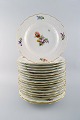 Royal Copenhagen Light Saxon Flower, 18 dinner plates
Decoration Number 493/1621.