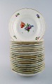 Royal Copenhagen Light Saxon Flower, 19 deep plates.
Decoration Number 493/1617.