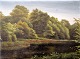 Thiele, Anton 
(1838 - 1902)  
Danmark. 
Landskab.