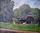 Strøm, Niels 
(20. årh)  
Parti fra 
Dyrehaven. 
Signeret. Olie 
på lærred. 39 x 
49 cm. 
Indrammet.