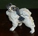 Lille figur af 
Papillon hund i 
porcelæn fra 
Dahl Jensen. 
Fremstår i 
perfekt stand. 
1. sortering. 
...