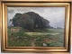 Carlo 
Hornung-Jensen 
(1882-1960):
Landskan med 
bakker og køer 
1928 "Aasene".
Olie på ...