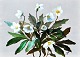 Dänischer 
Blumenmaler, 
19. 
Jahrhundert: 
Ein 
Blumenstrauß. 
Öl auf Papier. 
32 x 40 cm. 
Signiertes ...