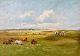 Christiansen, 
Niels Peter 
(1873 - 1960) 
Dänemark. Kühe 
auf einem Feld. 
Hjarbæk Fjord. 
Öl auf ...