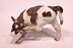 Bing and 
Grøndahl 
porcelain 
figure, 
standing cow, 
no.: 1826 by 
Knud Kyhn.
14x18x13 cm.
