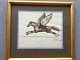 Andreas Paulsen 
(1836-1915):
Pegasus.
Tusch på 
papir.
Sign.: Paulsen
14x16 ...