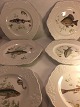 Marlborough old 
English 
ironstone by 
simpsons 
potters ltd 
England plates.
6 stk Fiske 
...